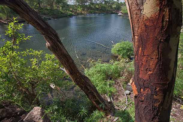 Mazima-Springs,-Tsavo-West-National-Park,-Kenya