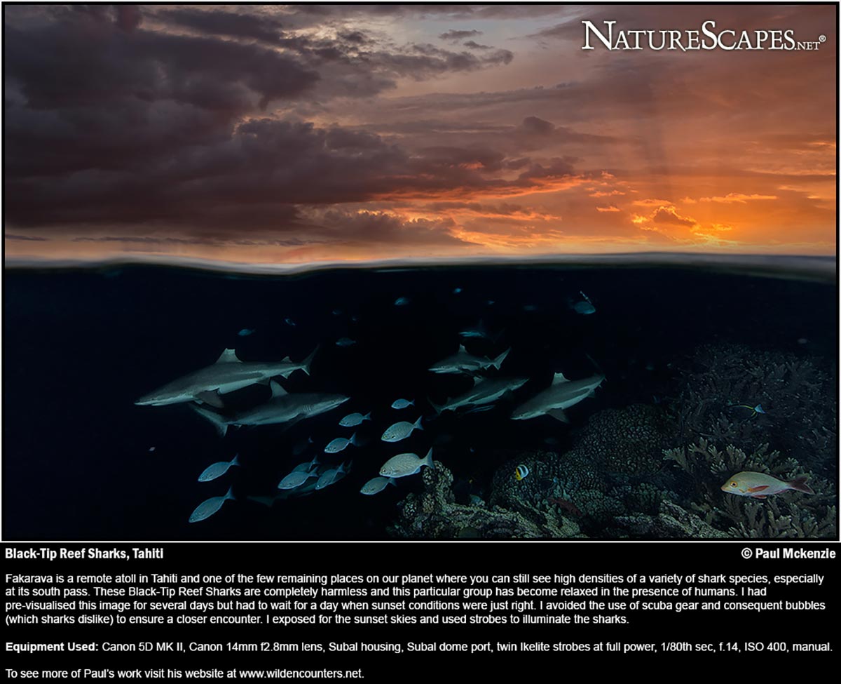 Naturescapes Aug 2014 cover