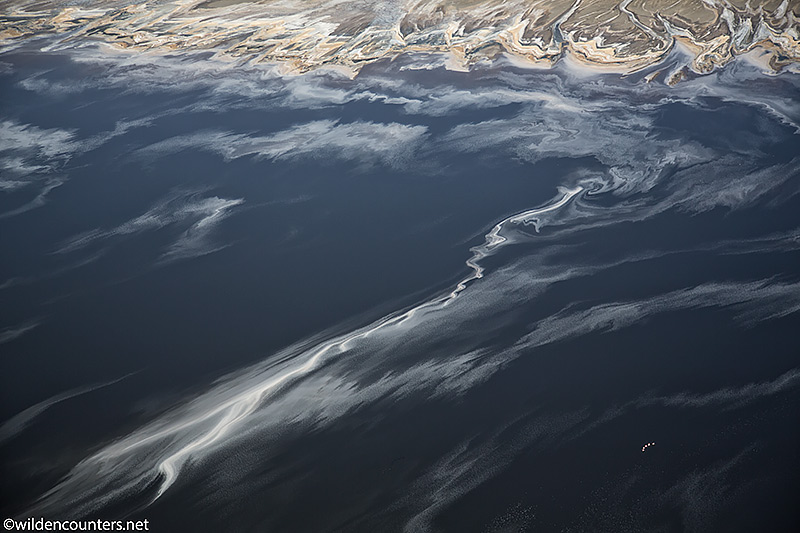 Aerial view of a small group of Lesser Flamingos flying over lake with evaporated sodium compound trails on lake surface, Lake Natron, Tanzania, Canon 5D MK3, Canon 24-105mm lens @70mm, handheld, f4, 1/1,600sec, ISO400, AV at -1/3