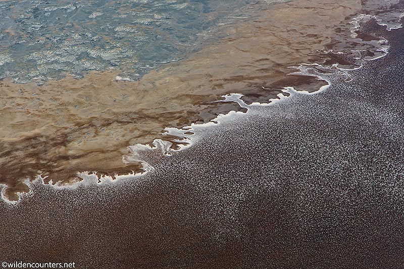 Aerial view of evaporated sodium compounds on lake shore and lake surface, Lake Natron, Tanzania, Canon 5D MK5, Canon-24-105mm f4 IS lens @105mm, 1/2,000 sec, f4, ISO 400,  AV at 0