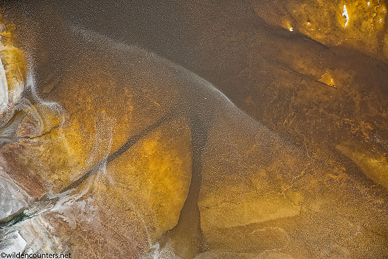 Aerial image of lake bed covered by shallow water and evaporated sodium compounds, Lake Natron, Tanzania, 5D MK3, Canon 24-105mm f4 IS lens @73mm, handheld, 1/1,000sec, f4, ISO, AV at 0