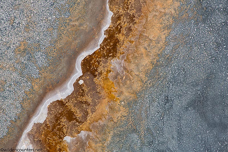 Aerial view of lake shore made up of sodium compounds, Lake Natron, Tanzania, Canon 5D MK3, Canon 24-105mm, f4 IS lens @105mm, handheld, 1/2,000 sec, f4, ISO 400, AV at 0