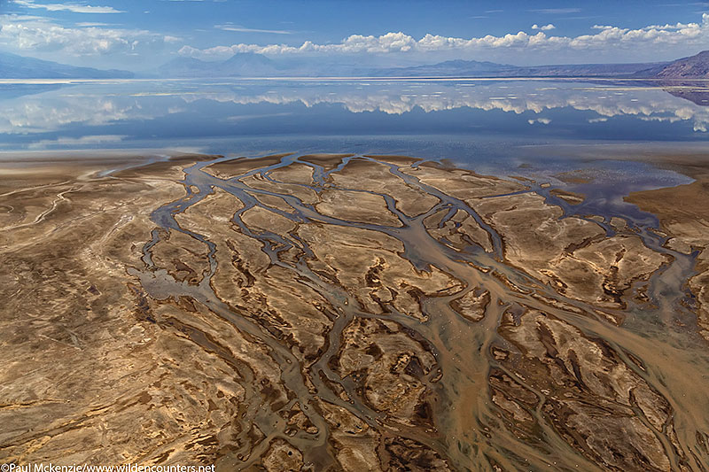 Aerial image of river delta on the edge of Lake Natron, Tanzania_74A0311 {J}