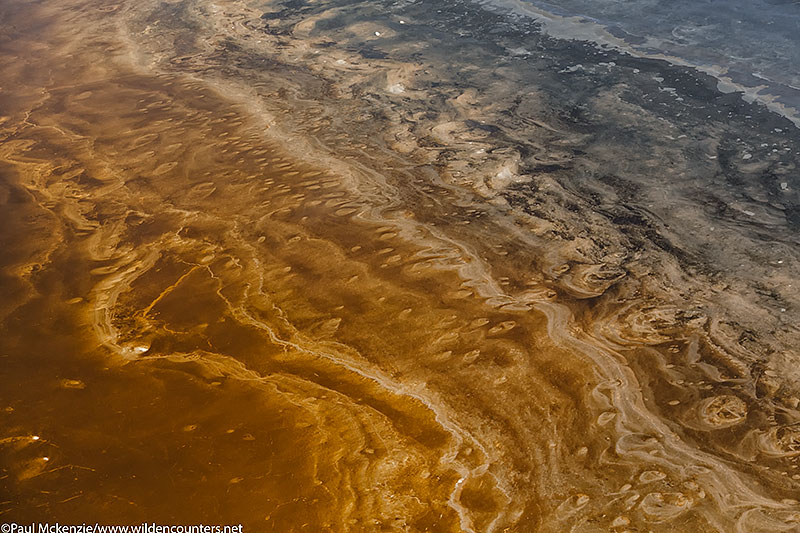 Lake bed #2, Lake Natron, Tanzania