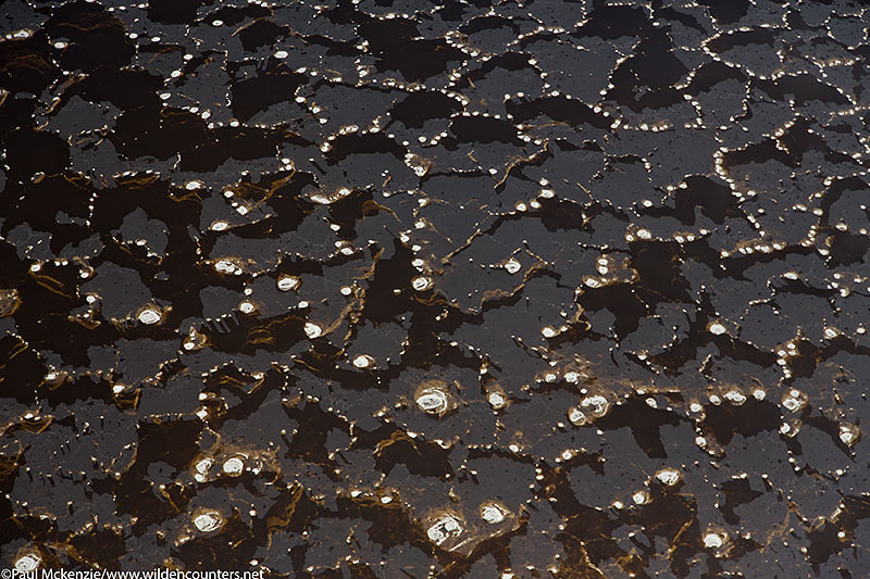 Lake bed, Lake Natron, Tanzania