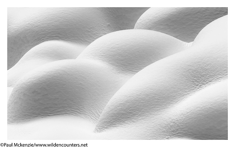 39. Snow patterns, Jigokudani, Japan