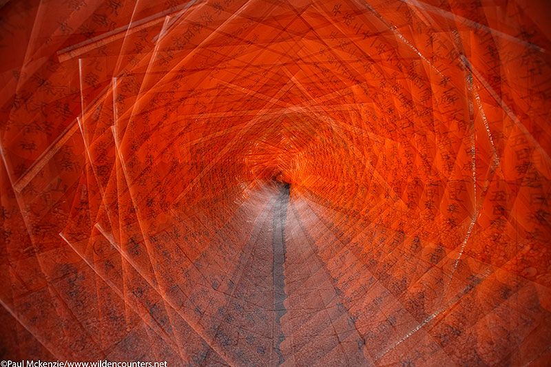 40. Radial zoom blur of the tunnel formed by shrine gates at Fushimi-Inari-Taisha, Kyoto, Japan