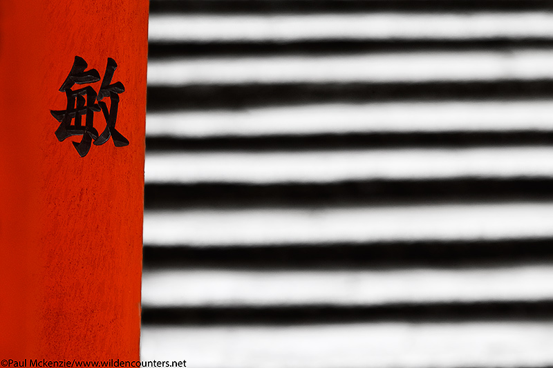 41. Shinto shrine gate with steps in the background, Fushimi-Inari-Taisha, Kyoto, Japan