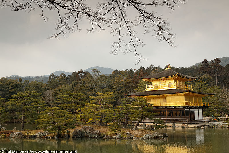 44. Kinkaku-ji temple, Kyoto, Japan