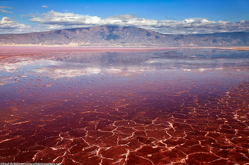 12. Aerial shot of algae bloom at Lake Magadi, Kenya #2