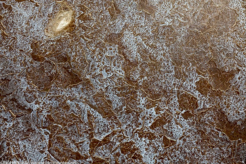 19. Crystalised salt, Lake Natron, Tanzania (aerial shot) #2