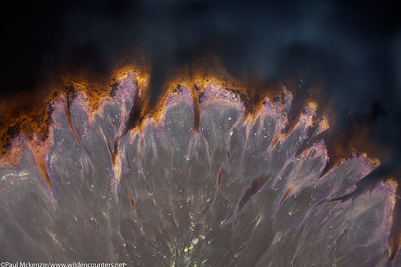 21. Sodium bicarbonate & sodium hydroxide infused delta waters on the edge of Lake Natron, Tanzania (aerial shot)