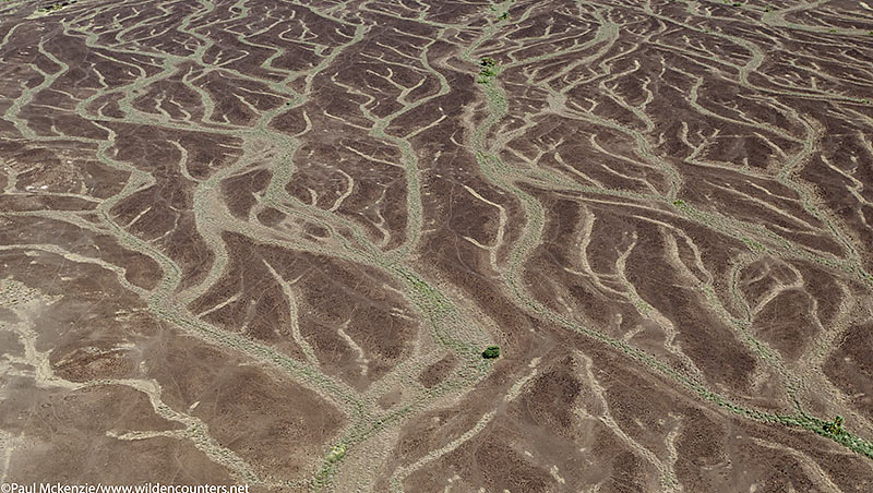 6. Rain erosion patterns, Seguta Valley, Kenya