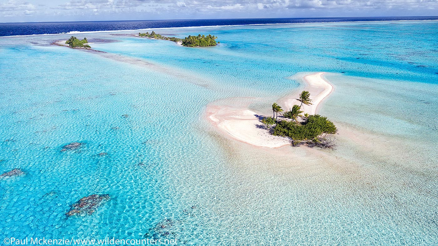 46. Aerial view of motu (coral reef atoll) in shallow water lagoon, Fakarava, Tahiti