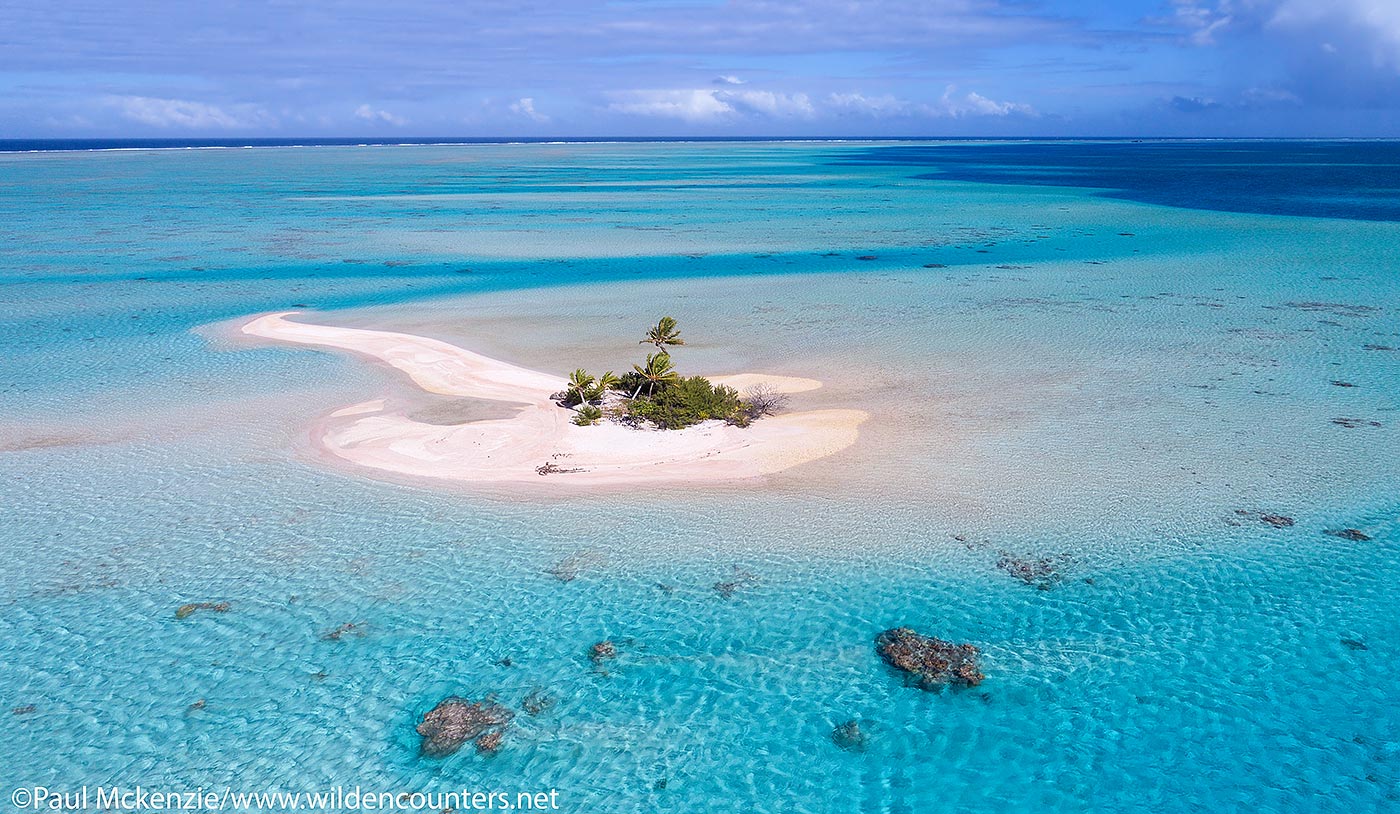 58. Aerial view of Motu (coral reef island) in shallow water laggon, Fakarava, Tahiti